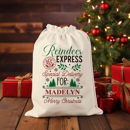 Personalized Santa Delivery Bag-Personalized Christmas Bags-Santa Sacks-Christmas Delivery Bag-Santa Gifts-Santa Decor-Santa Gift Bag