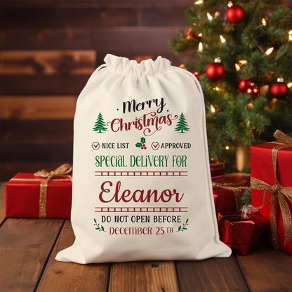 Personalized Santa Delivery Bag-Personalized Christmas Bags-Santa Sacks-Christmas Delivery Bag-Santa Gifts-Santa Decor-Santa Gift Bag