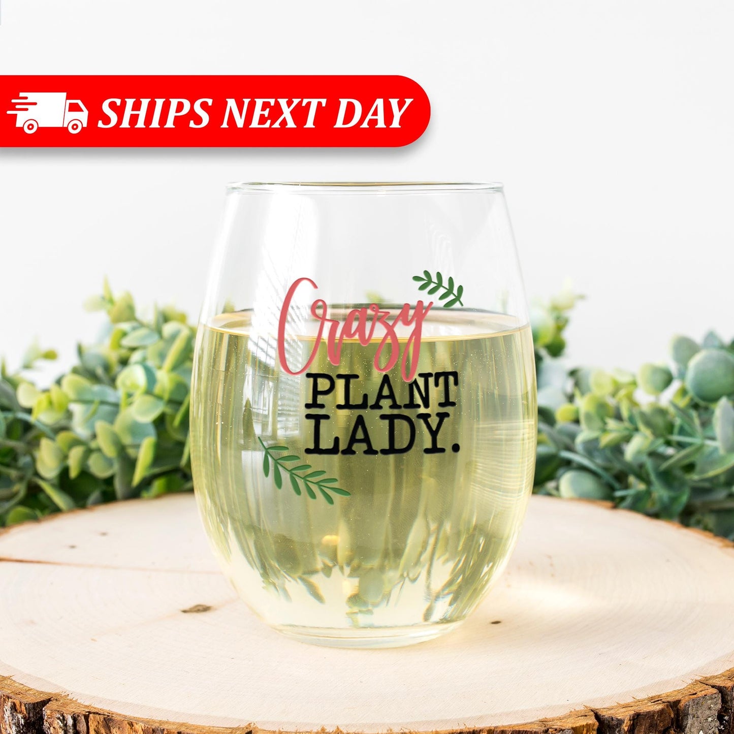 Succulent Wine Glass-Crazy Plant Lady-Plant Lovers Gift Ideas-Gifts For Plant Lovers-Succulent Gift-Plant Mom-Funny Birthday Gift For Women